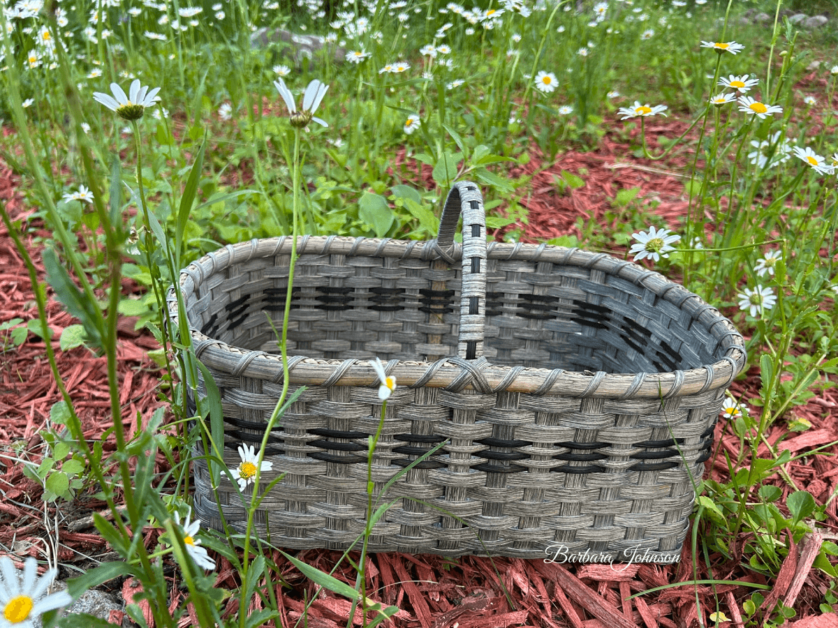 Carry around basket
